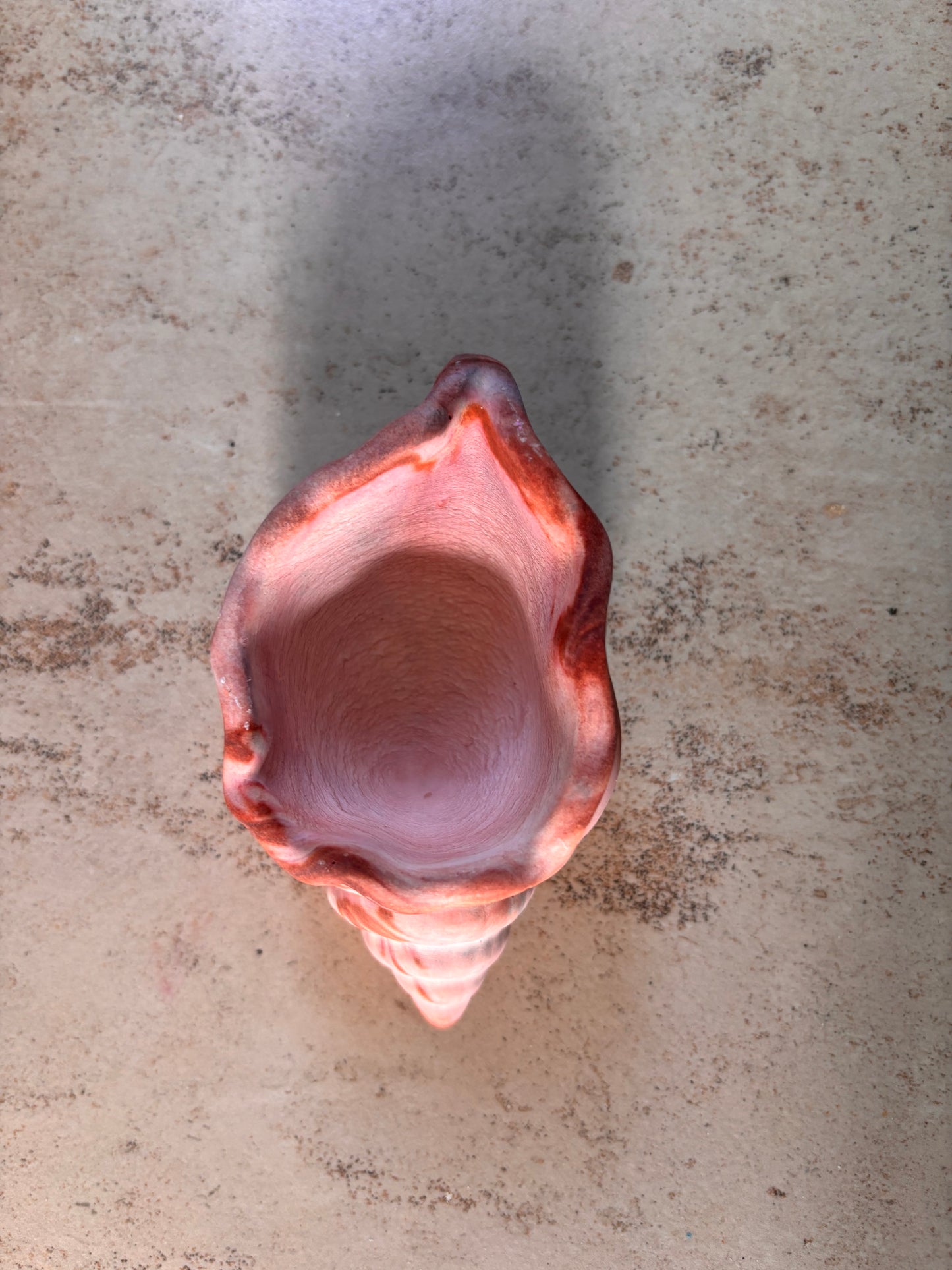 Conch Candle Base - 1 no
