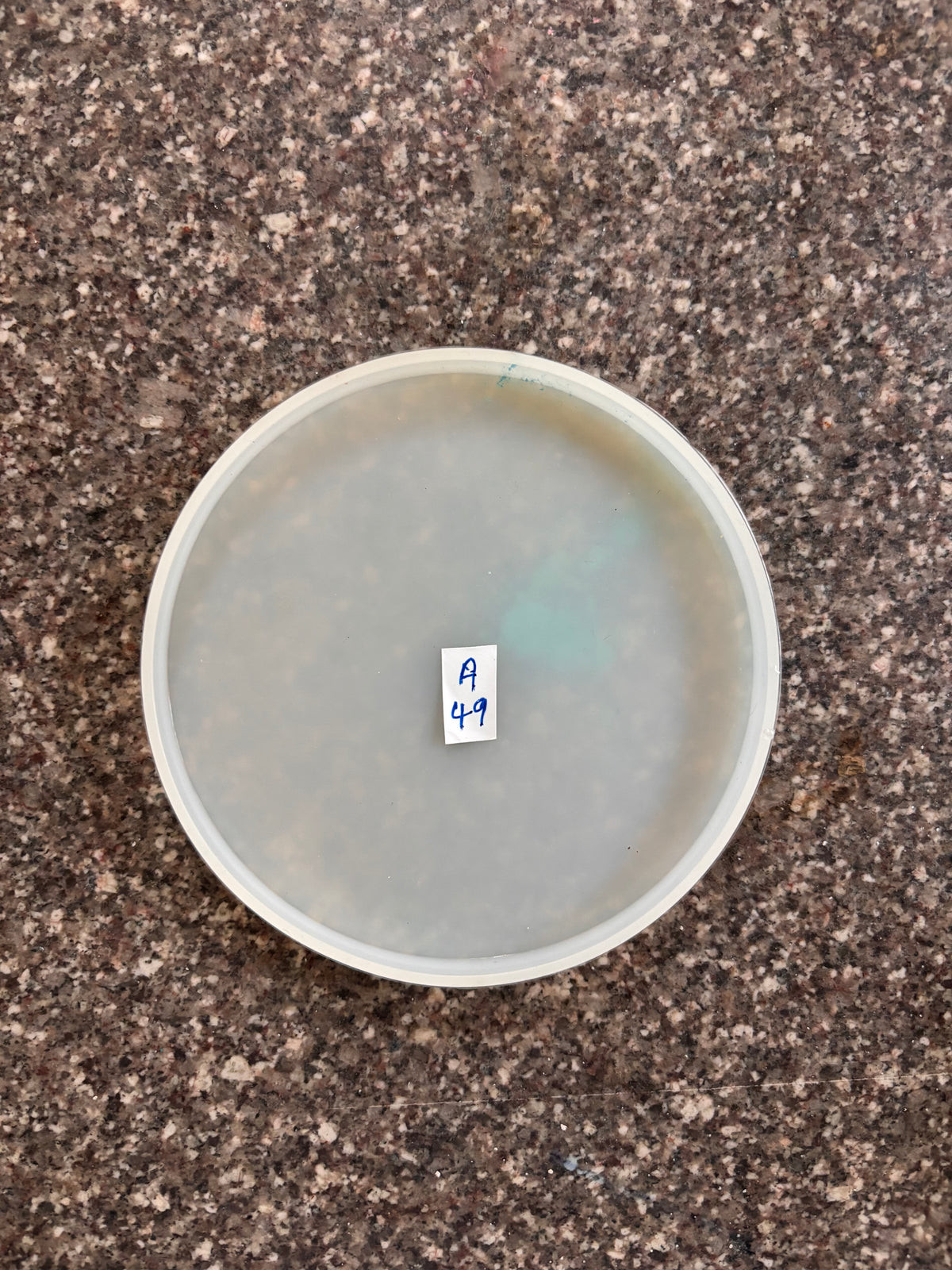 Mould - Round Coaster - A49
