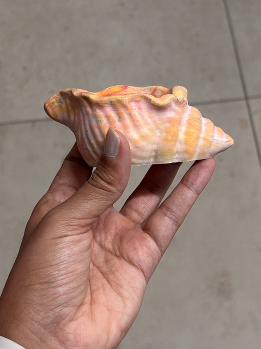 Conch Candle Base(Orange) - 1 no