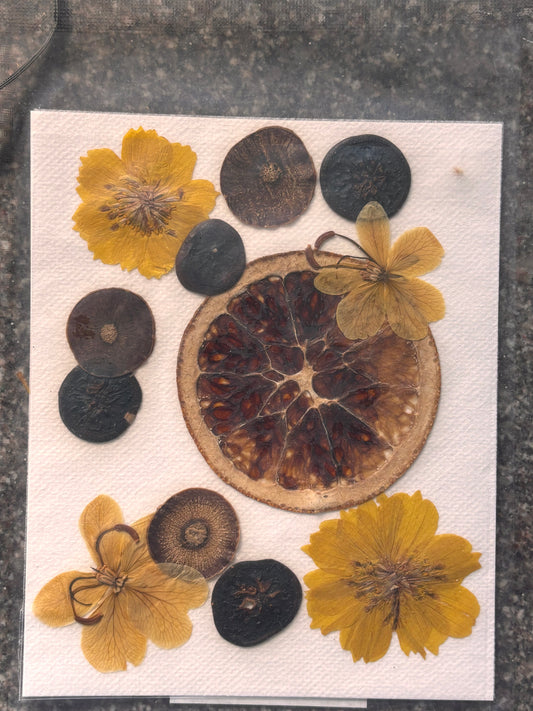 Dried Flower - D12