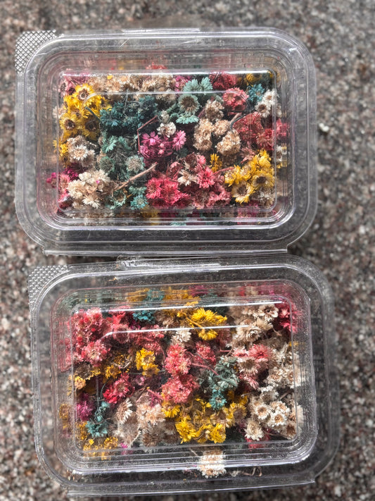 Dried Flower - D11
