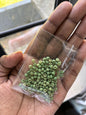 Beads -Green - T14