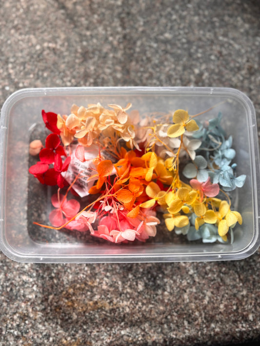Dried Flower - D1