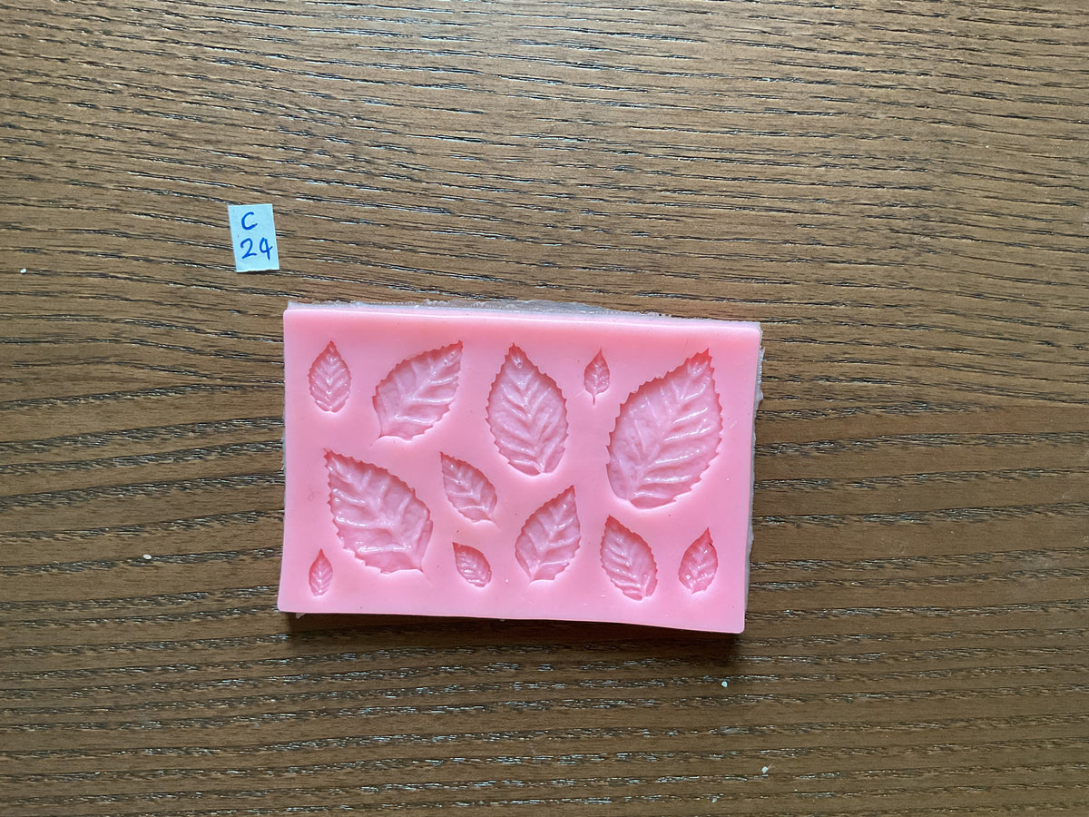 Mould - Leaf - C24