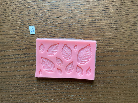 Mould - Leaf - C24