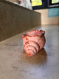 Conch Candle Base - 1 no