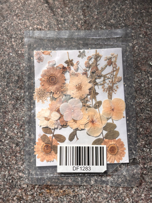 Dried Flower - D2