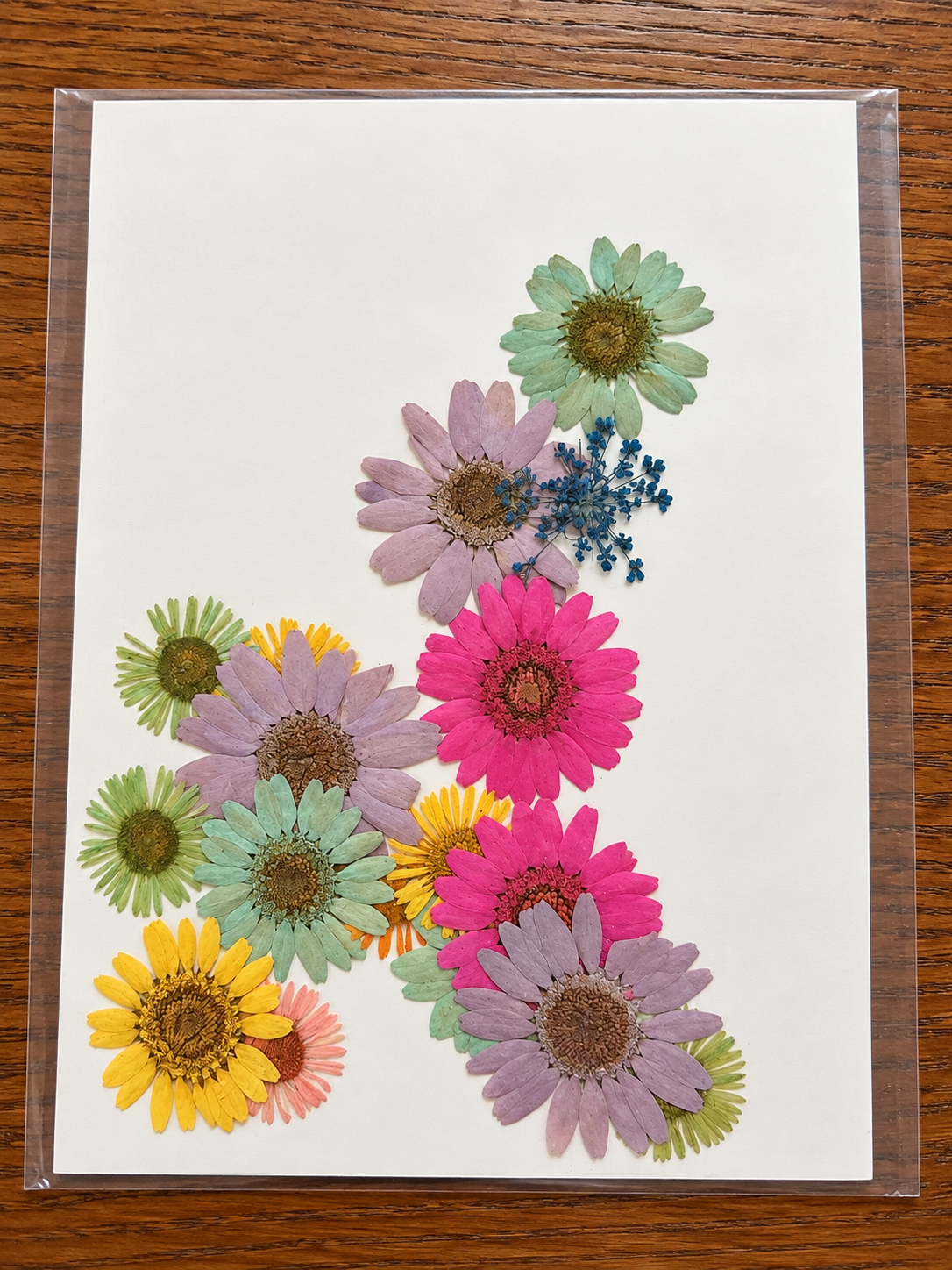 Dried Flower - D19