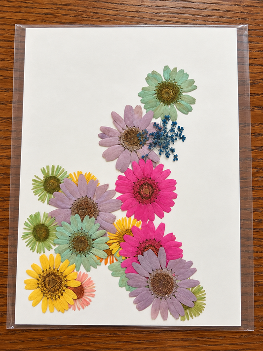 Dried Flower - D19