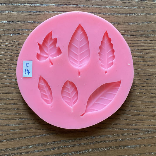 Mould - Leaf - C14