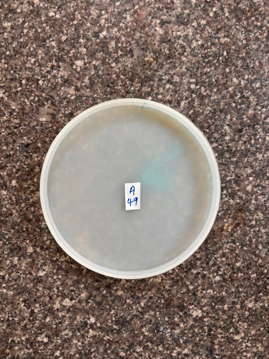Mould - Round Coaster - A49